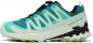 Preview: Salomon XA PRO 3D V9 GTX W Trailrunningschuh Damen